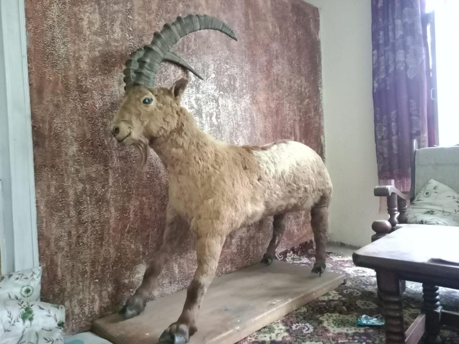 Golden Ibex Resort Skardu Exteriör bild