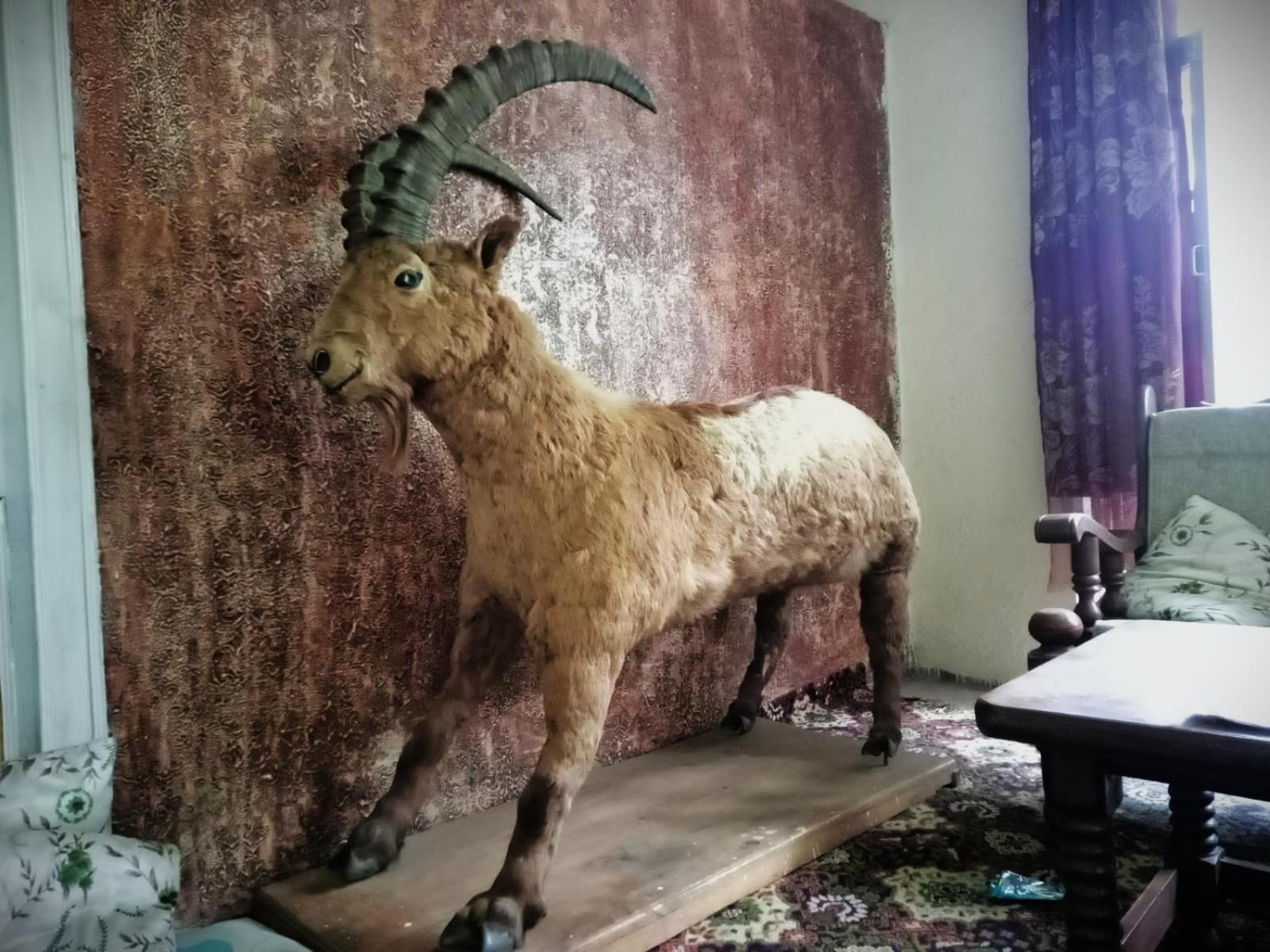 Golden Ibex Resort Skardu Exteriör bild